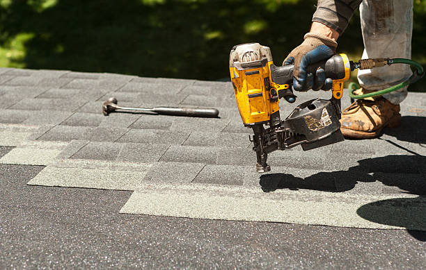 Best Roof Gutter Cleaning  in Lovington, IL